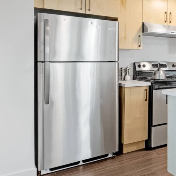⁦Mini Fridge with Freezer for Bedroom Office or Dorm with Adjustable Remove Glass Shelves Compact Refrigerator⁩ – תמונה ⁦3⁩